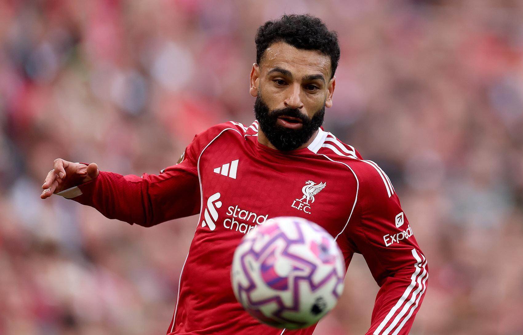 意甲赛后走向成谜,萨克拉门托国王刷新队史纪录,管理层满意,细节决定成败的简单介绍 意甲赛后走向成谜,萨克拉门托国王刷新队史纪录,管理层满意,细节决定成败的简单介绍